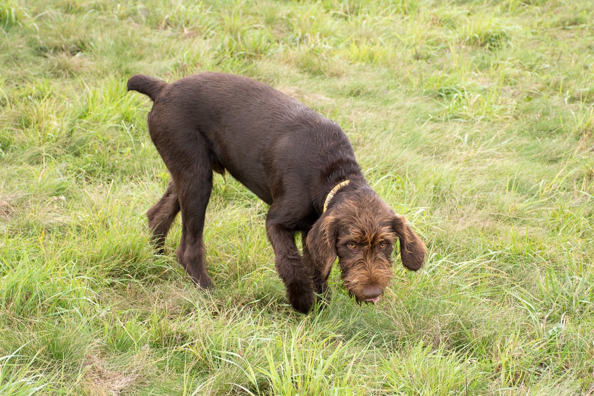 Návštěva Arta a Atose