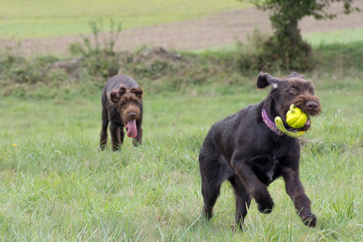 Návštěva Arta a Atose