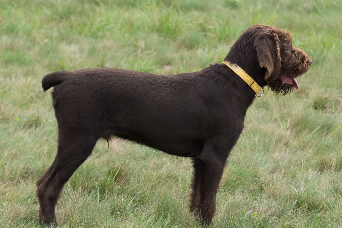 Návštěva Arta a Atose