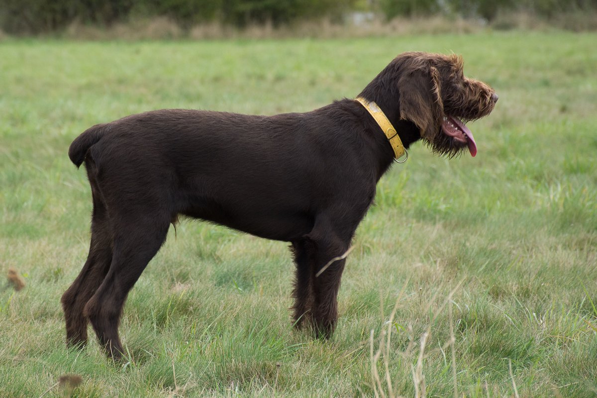 Návštěva Arta a Atose