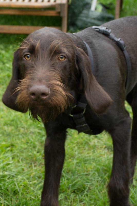 Návštěva Arta a Atose